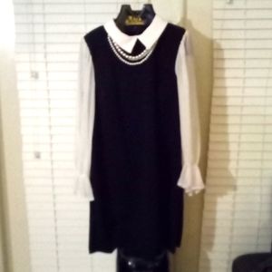 NWT - Shelby & Palmer Black & White Collar Dress with Sheer Sleeves